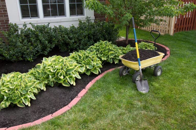 Topsoil home delivery used to create a stunning garden bed